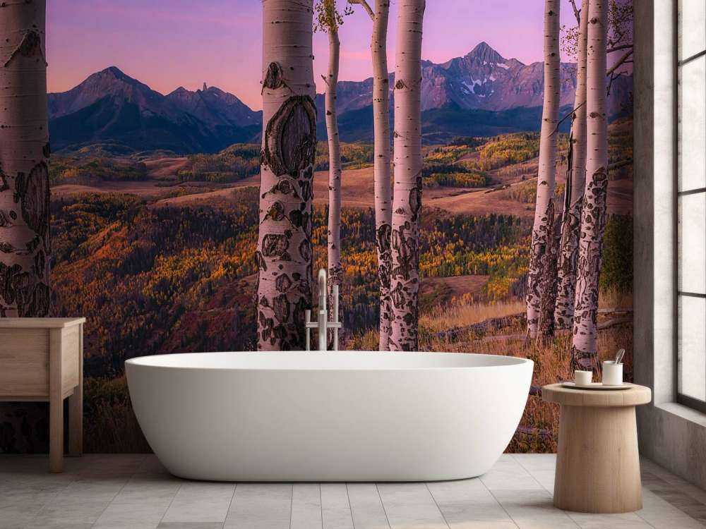 Marcos de Aspen