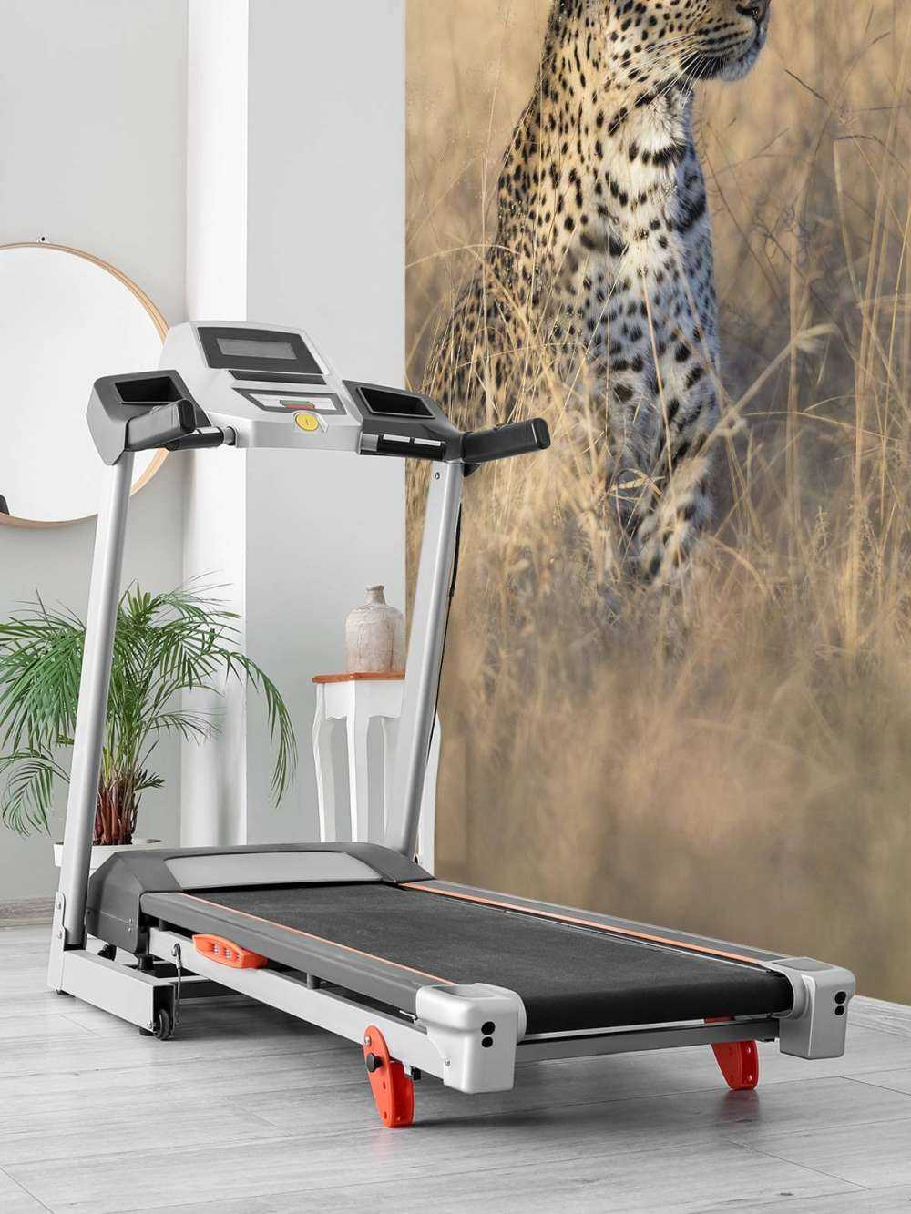 Caza del leopardo