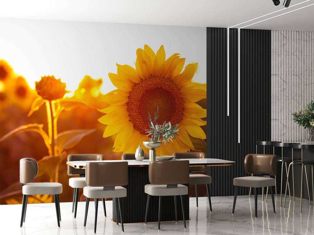 Cálido campo de girasoles
