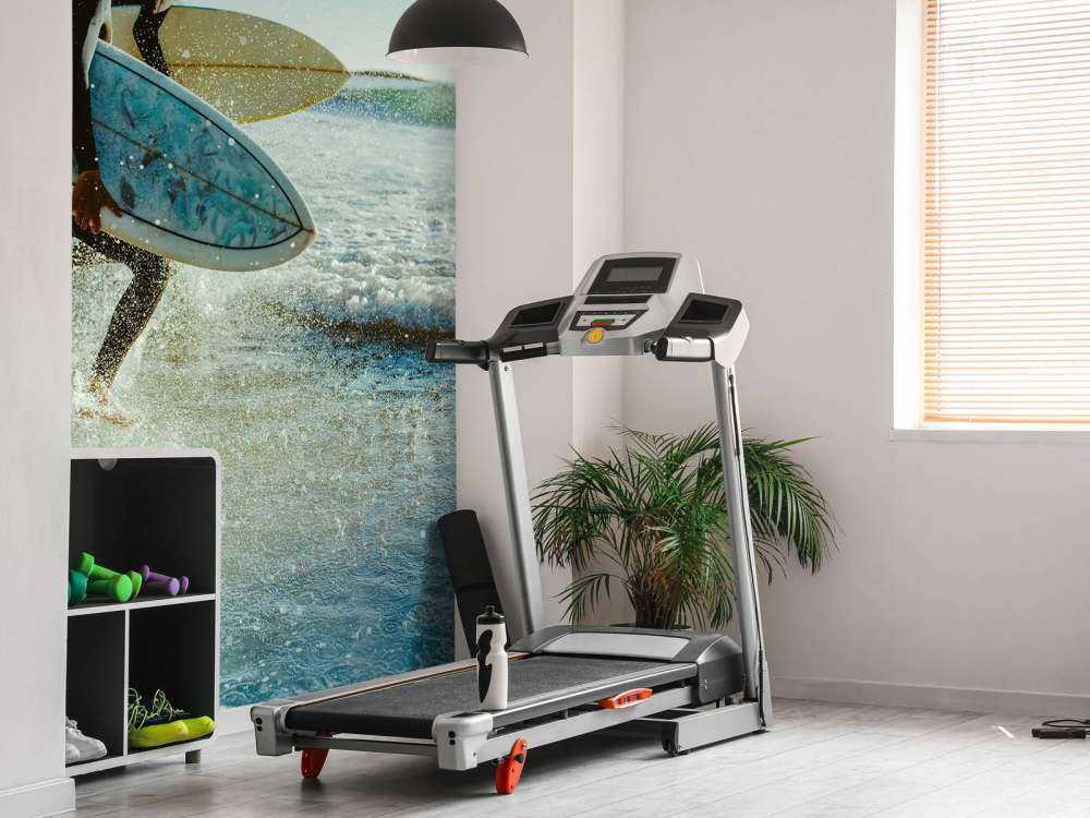 Surfistas
