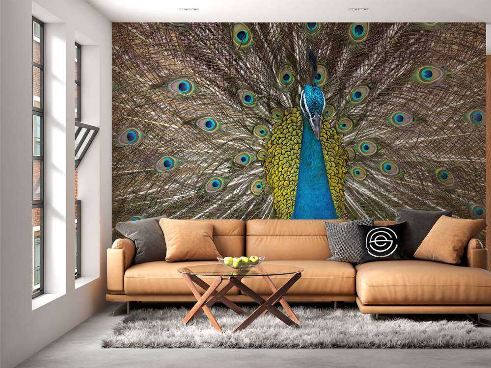 Pavo real con plumas exhibidas