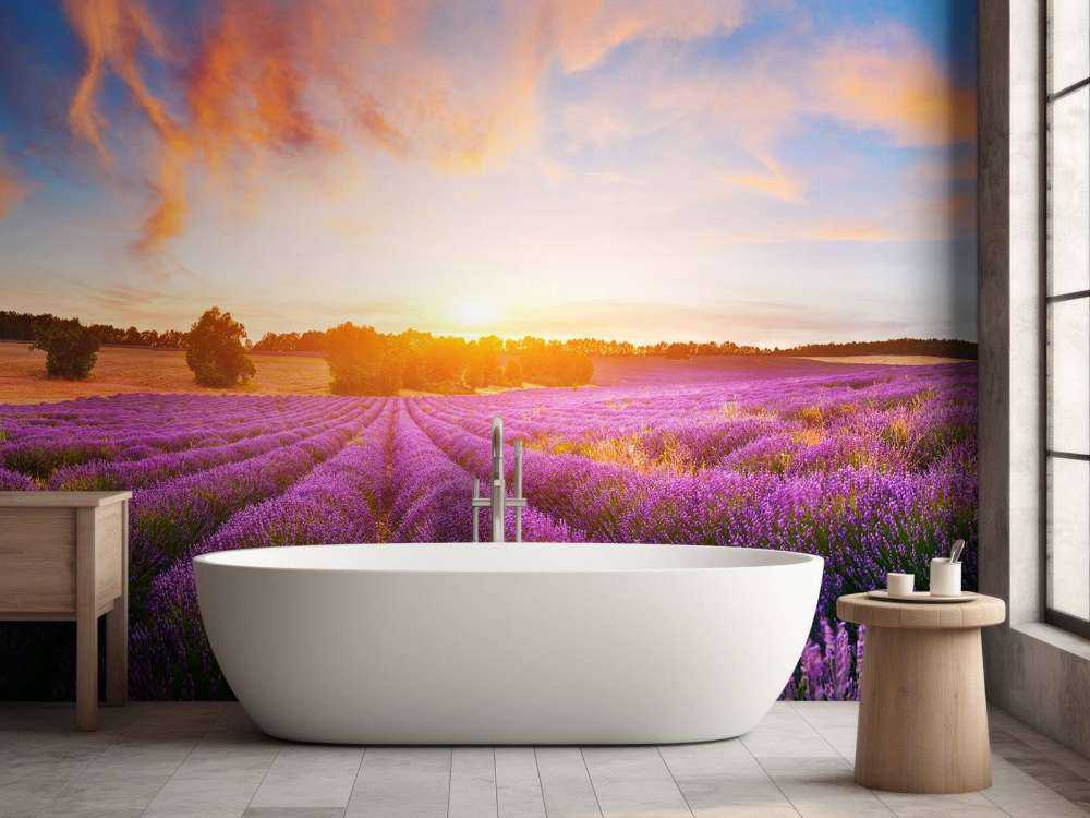 Campo de lavanda