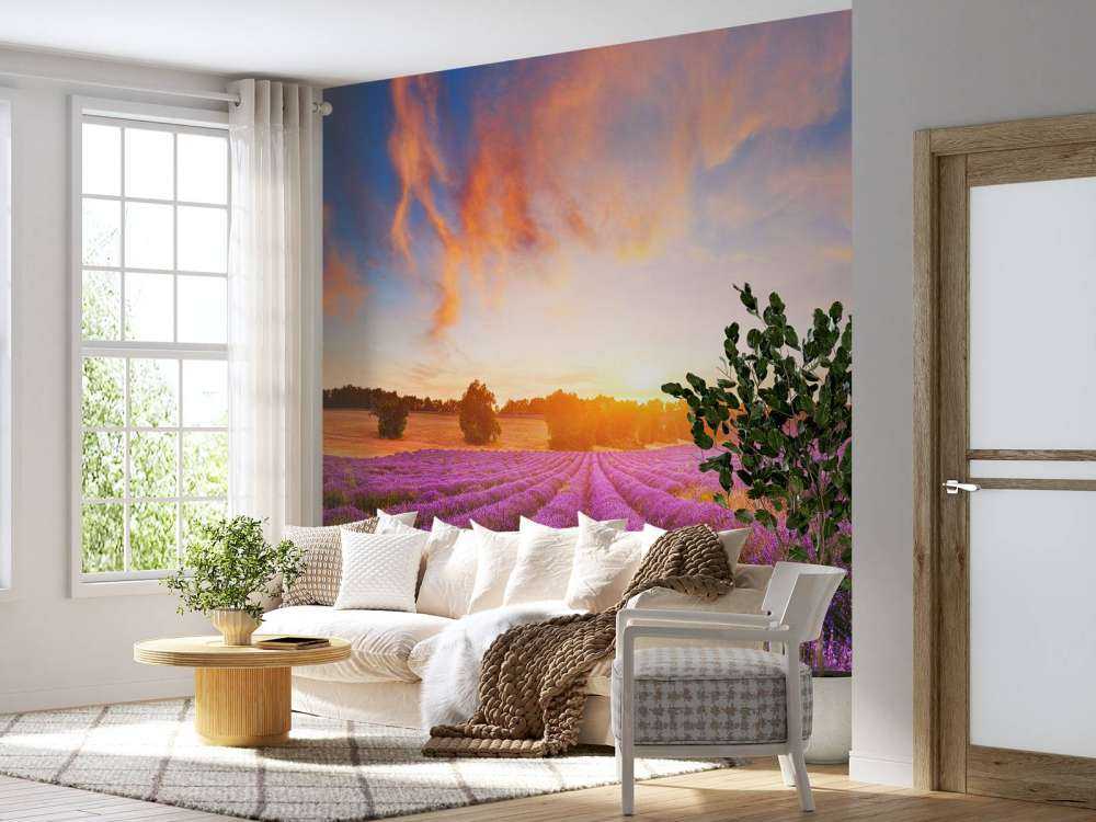 Campo de lavanda