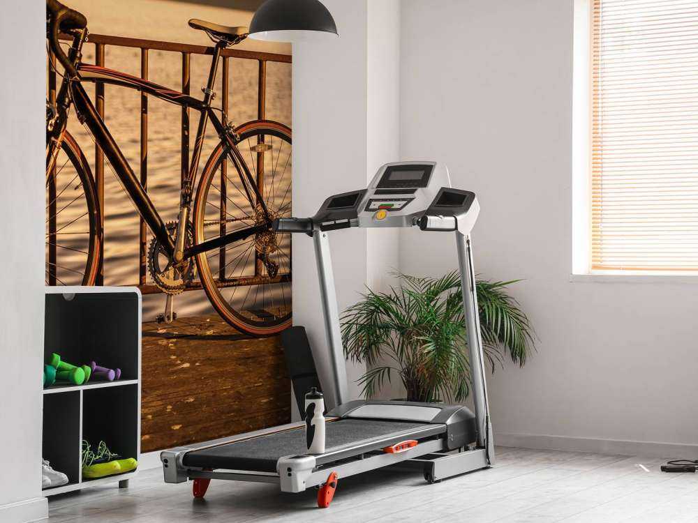 Bicicleta de carreras junto al agua