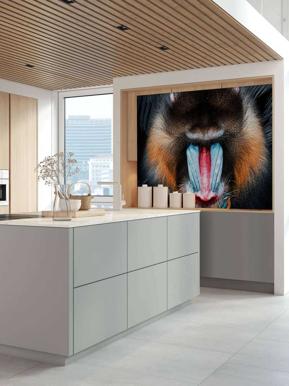 Mandrill Retrato