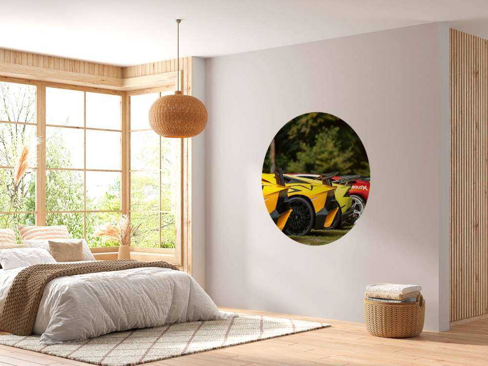 Colección de supercoches en la naturaleza
