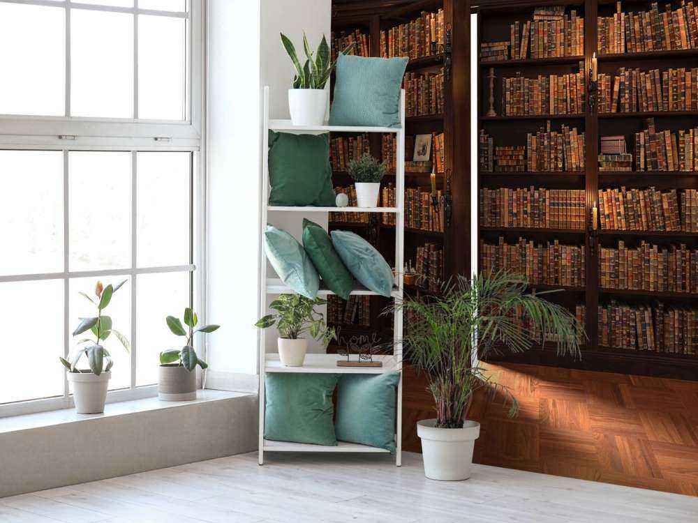 Biblioteca secreta con puerta oculta