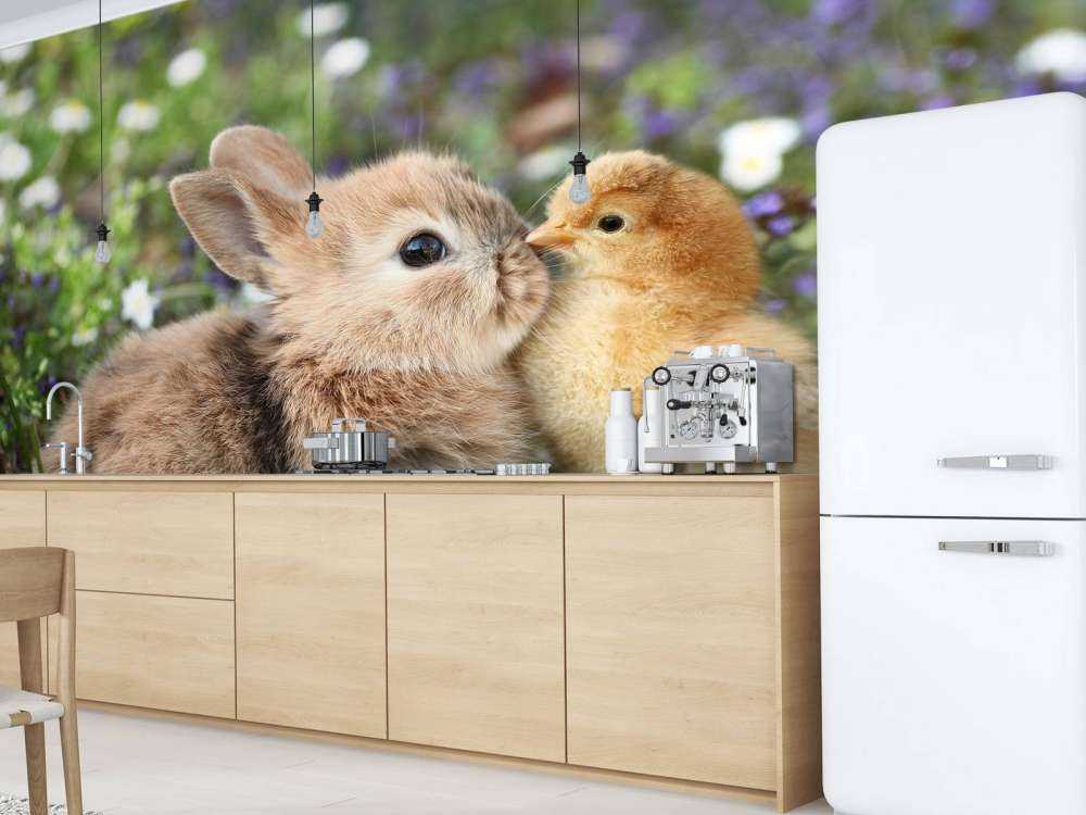 Conejo y pollito