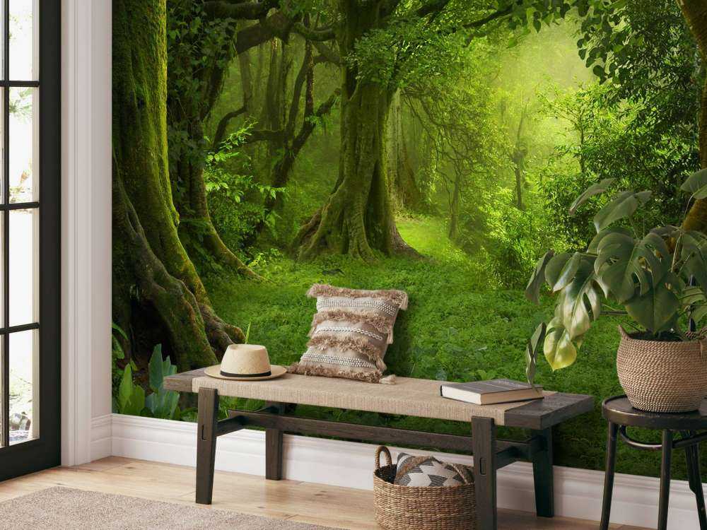 Selva verde