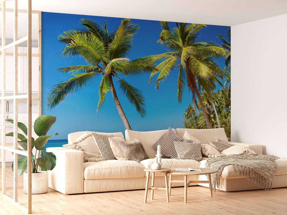 Caribe