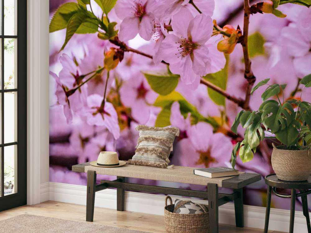 Flores rosas con pétalos