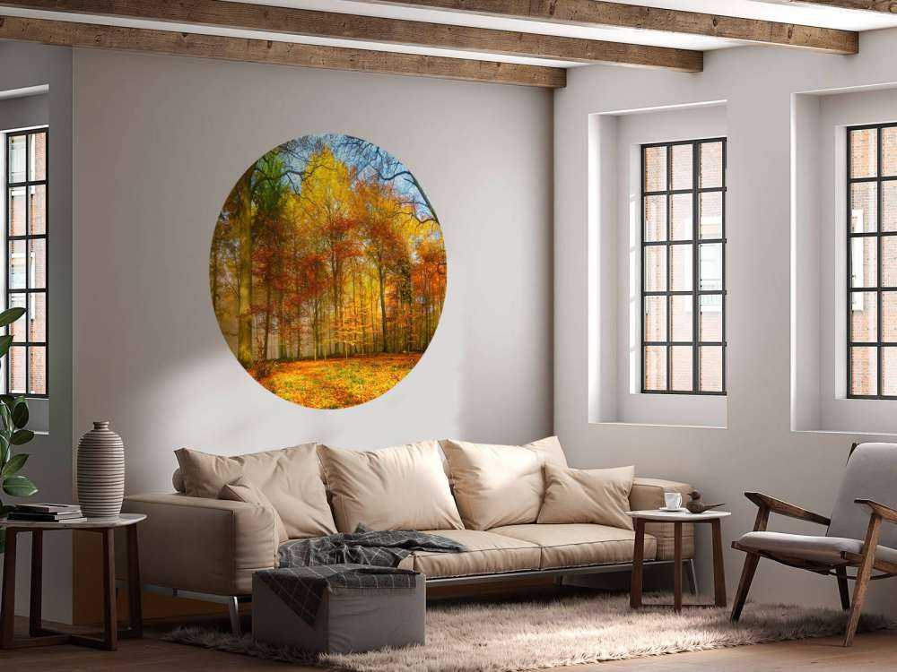 Panorama de un bosque colorido