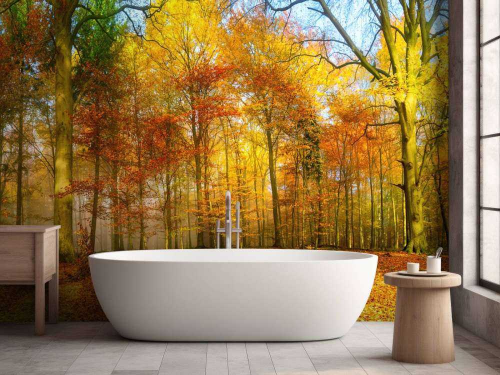 Panorama de un bosque colorido