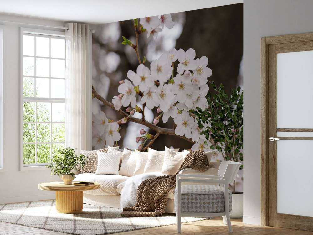 Flores blancas