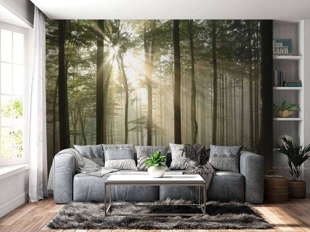 Bosque caducifolio otoñal