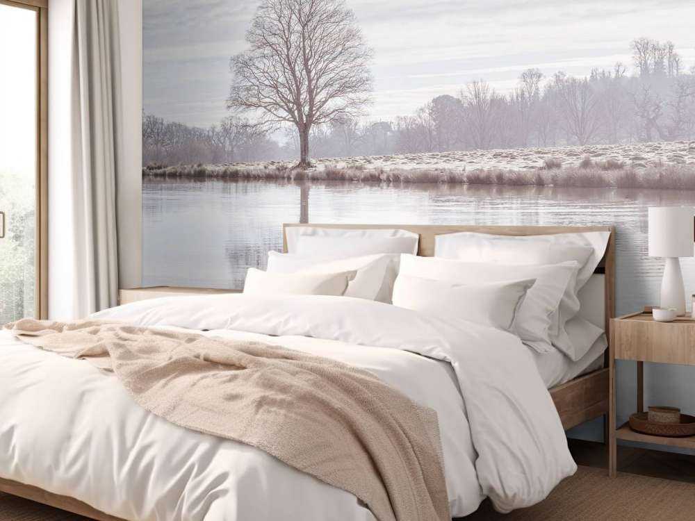 Lago de invierno