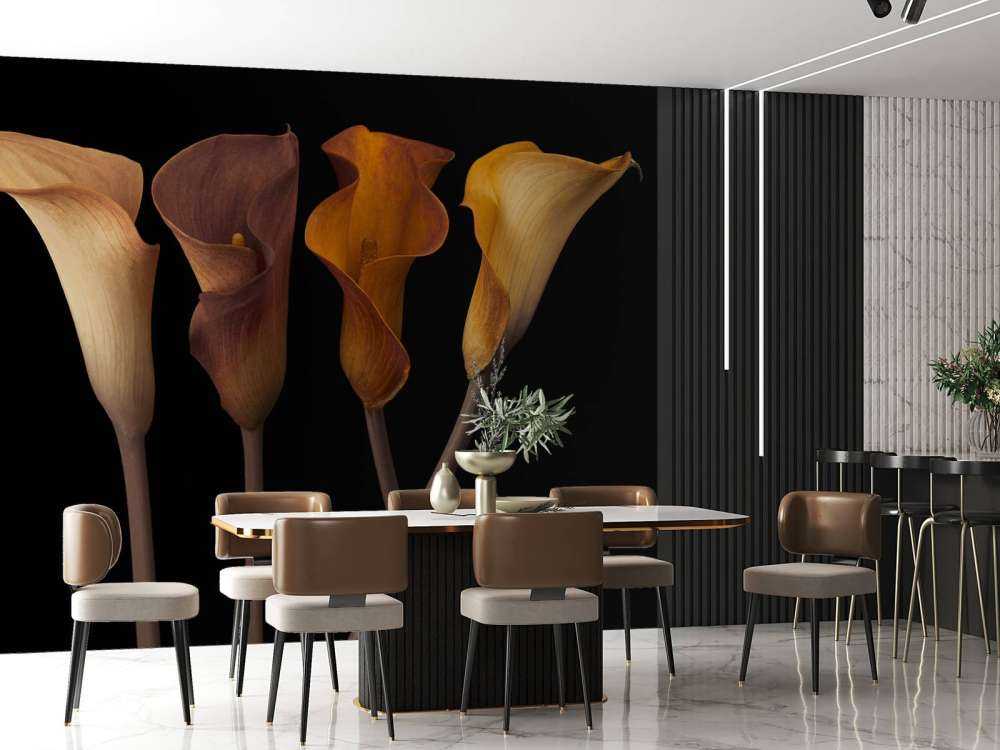 Lirios Calla
