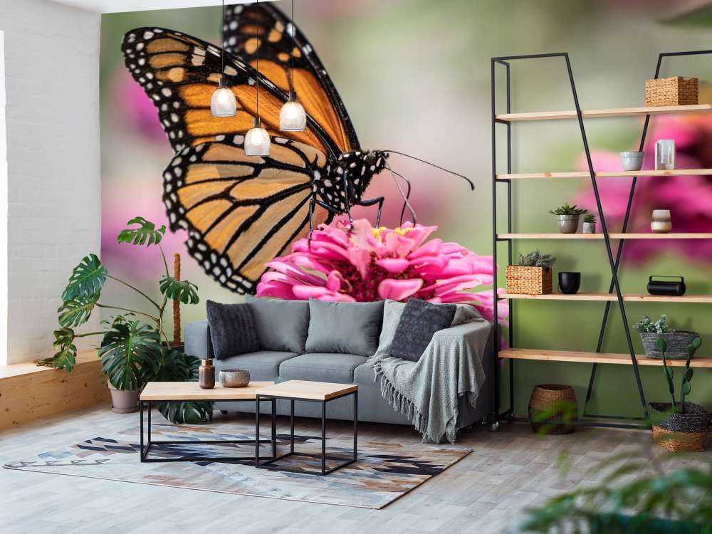 Una mariposa monarca