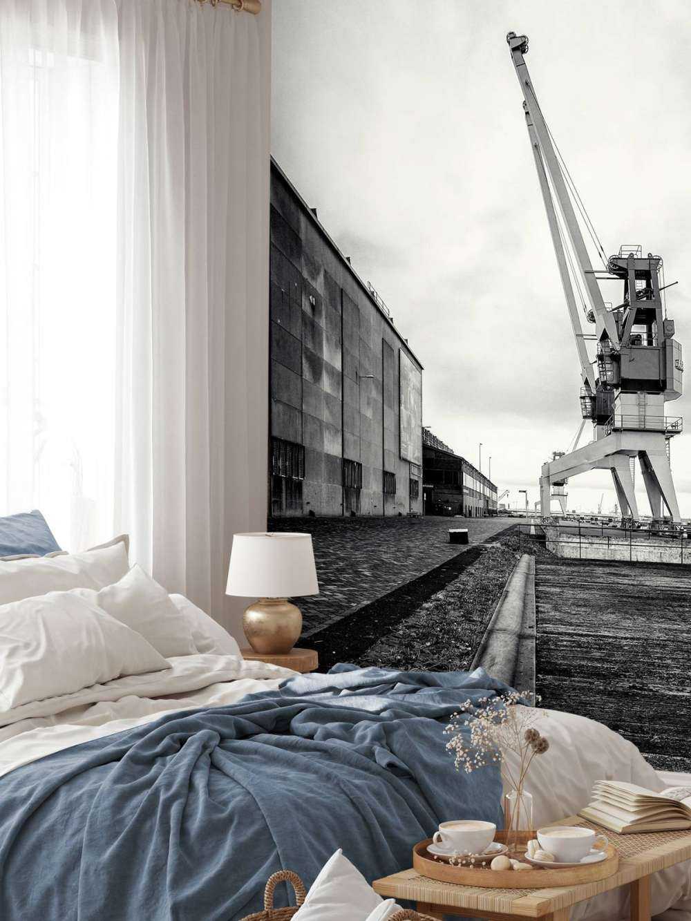 Grúa portuaria en el antiguo emplazamiento de RDM Heijplaat Rotterdam 