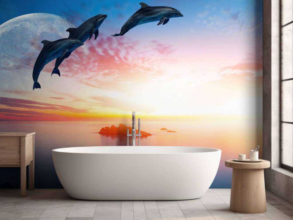 Delfines en la noche