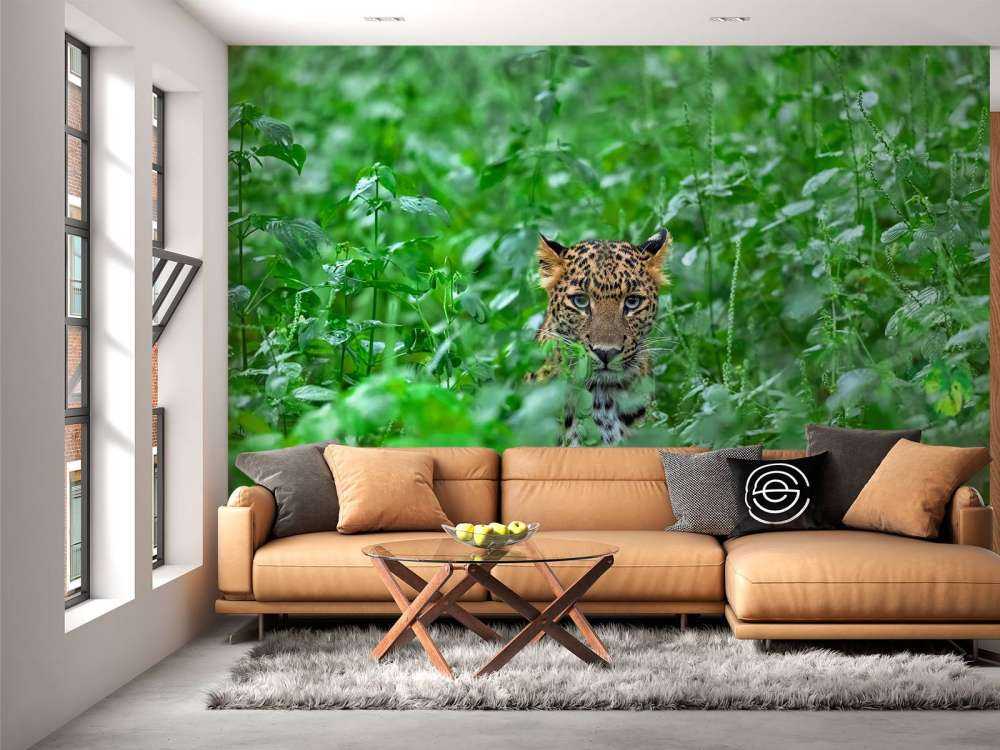 Leopardo en el bosque
