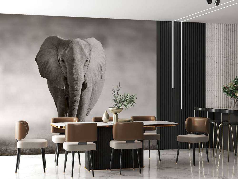 Hermoso elefante