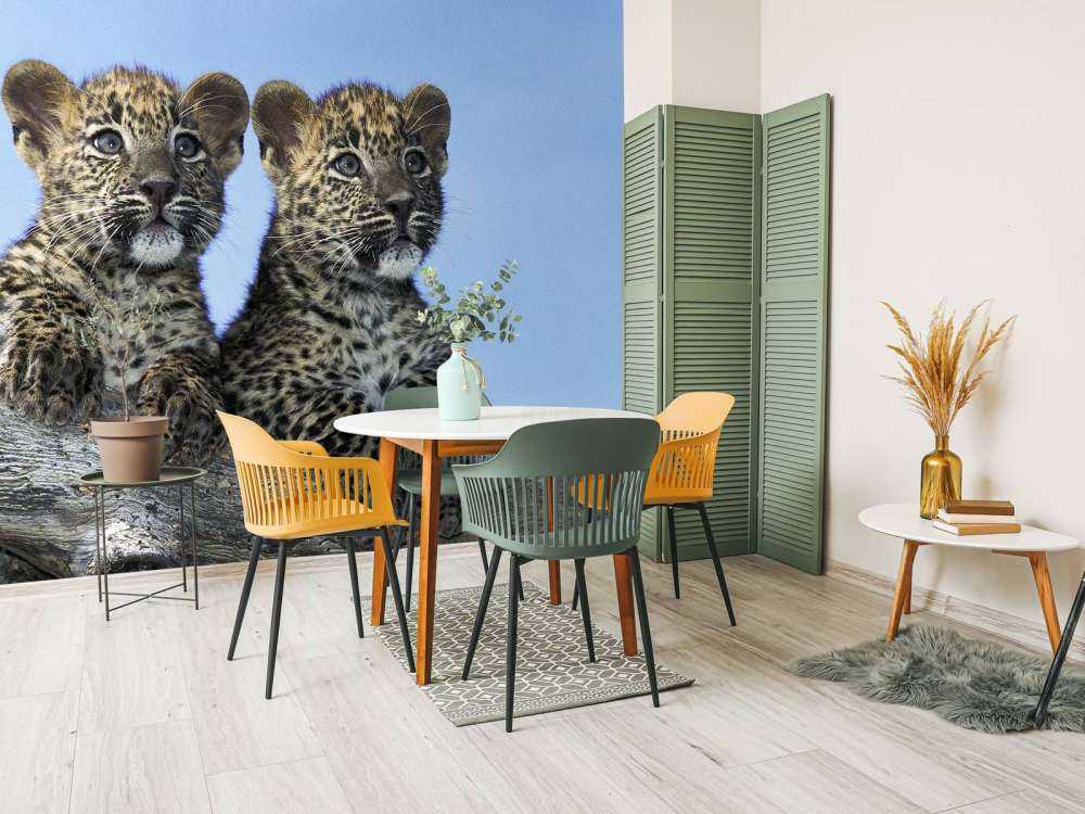 Pequeños leopardos