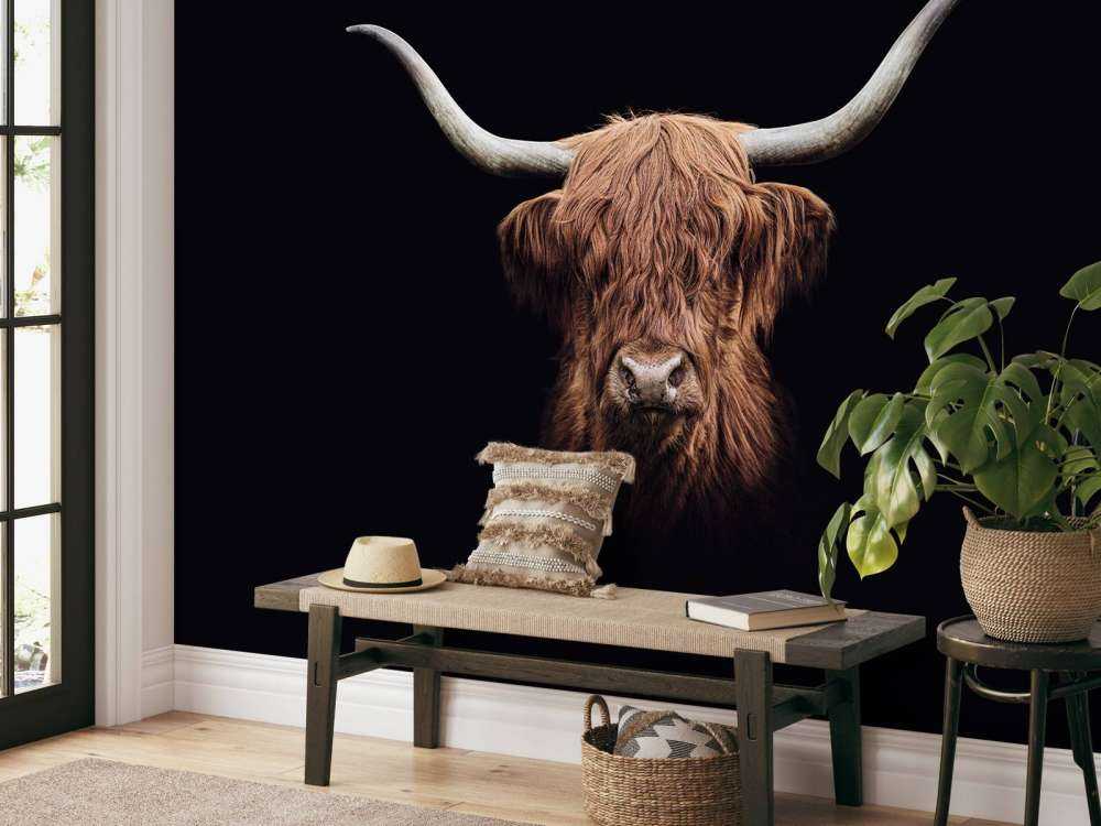 Vaca escocesa vintage