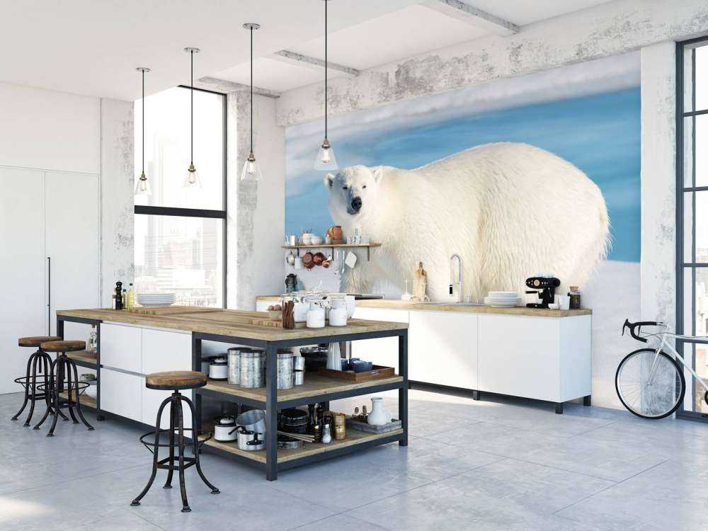 Oso polar