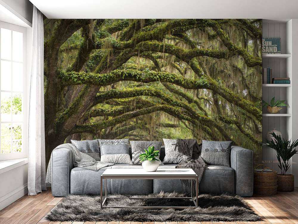 Roble