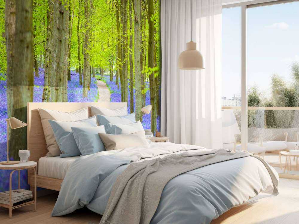 Sendero Bluebell