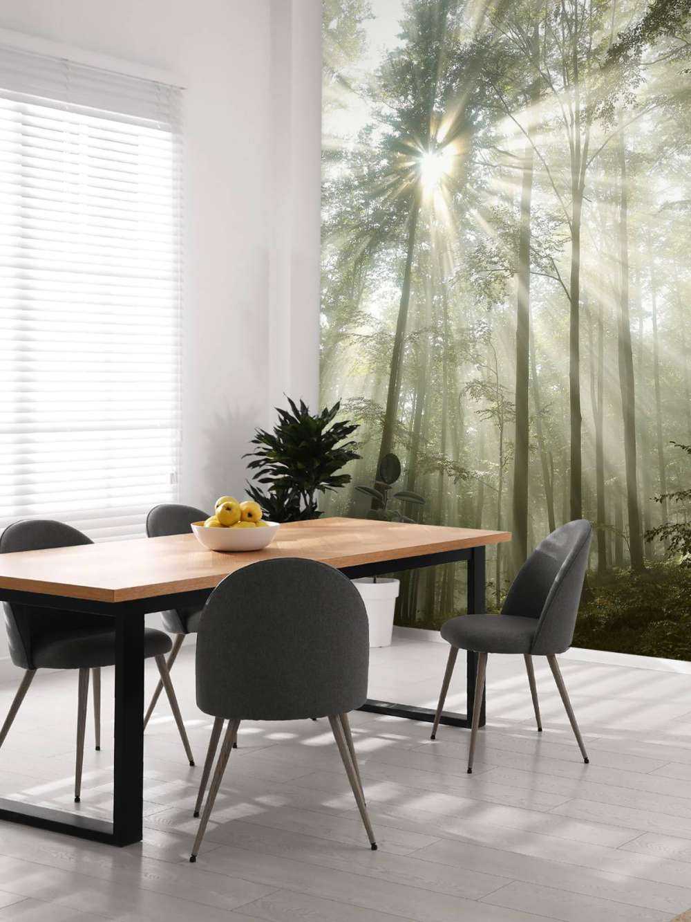 Bosque con niebla