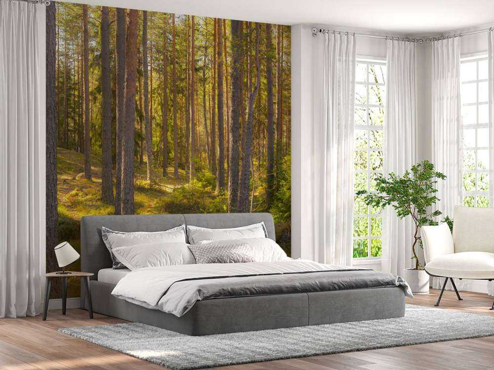 Bosque de verano