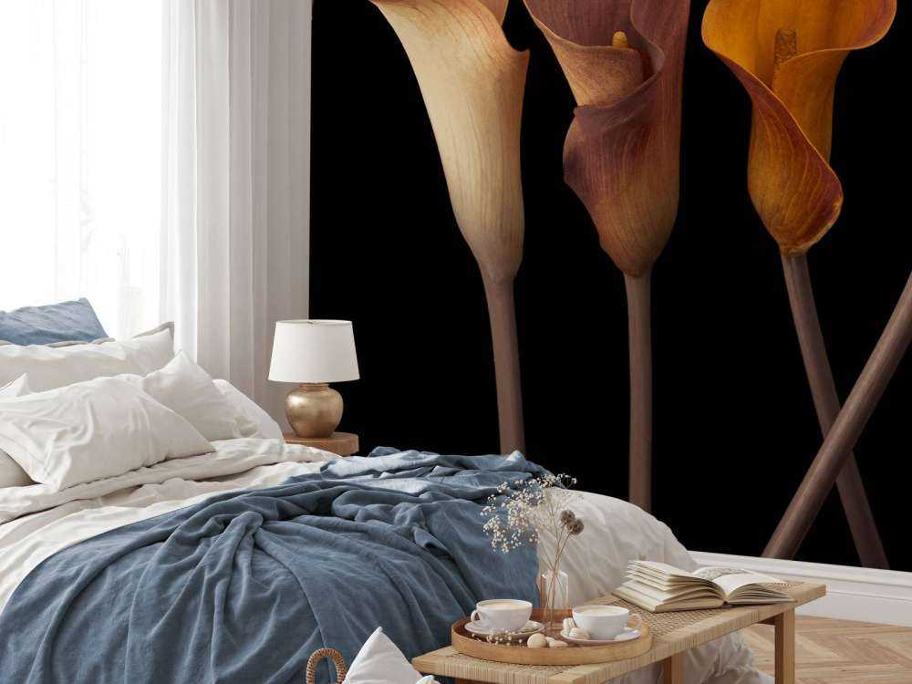 Lirios Calla