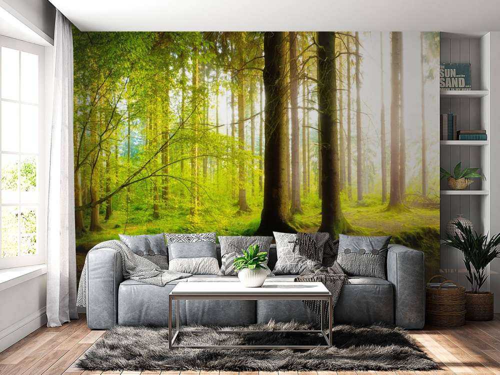 Bosque verde y fresco