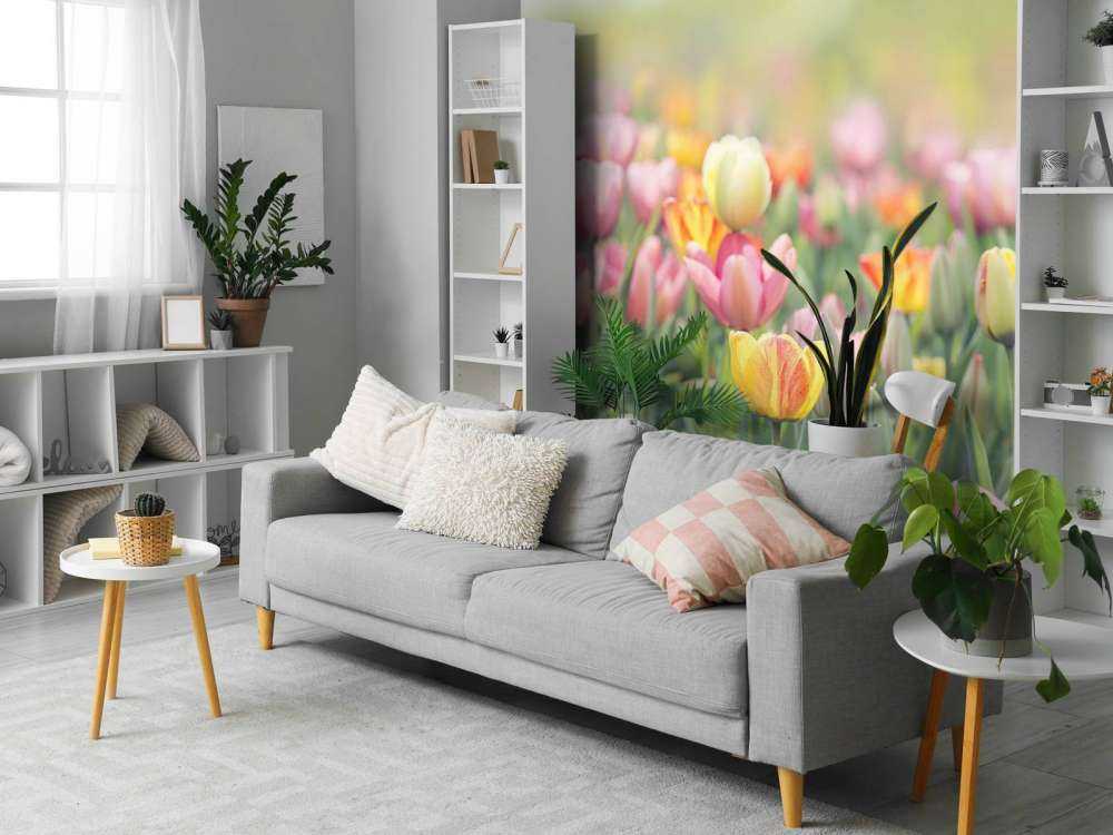 Tulipanes de colores