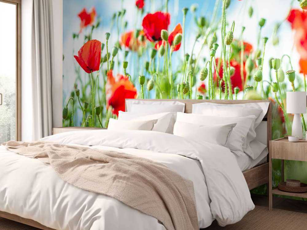 Campo con amapolas