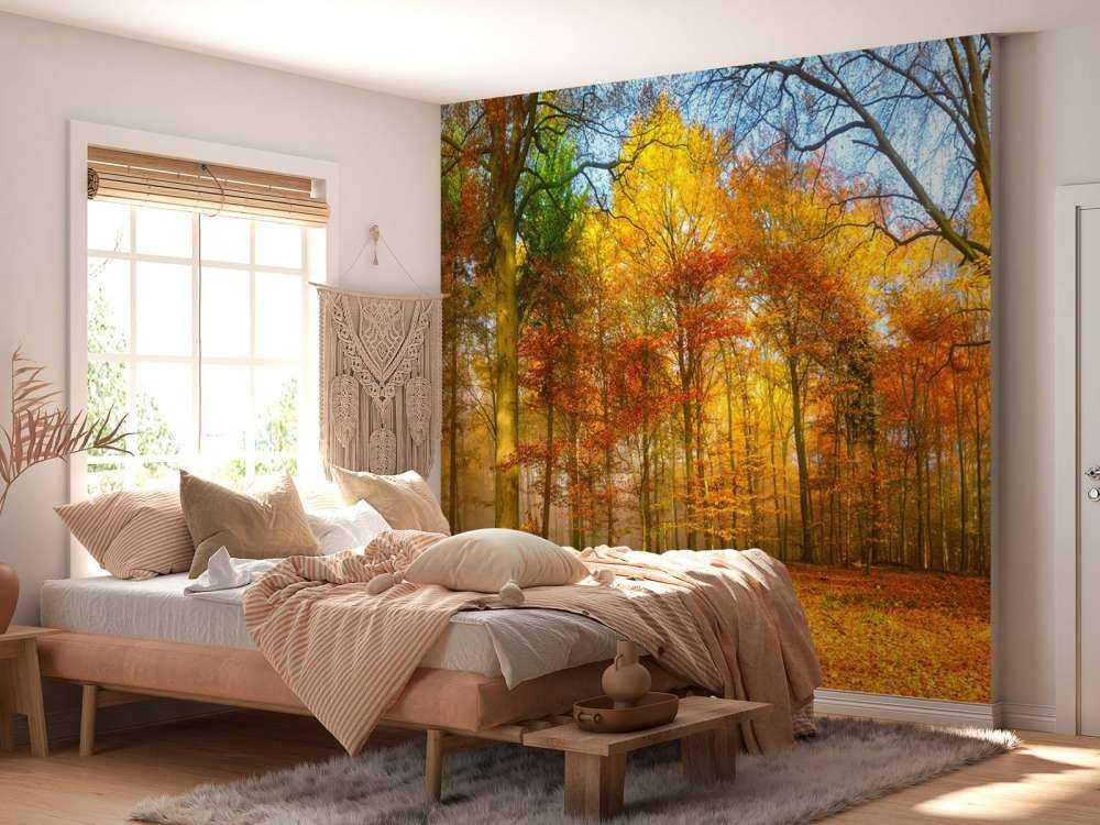 Panorama de un bosque colorido