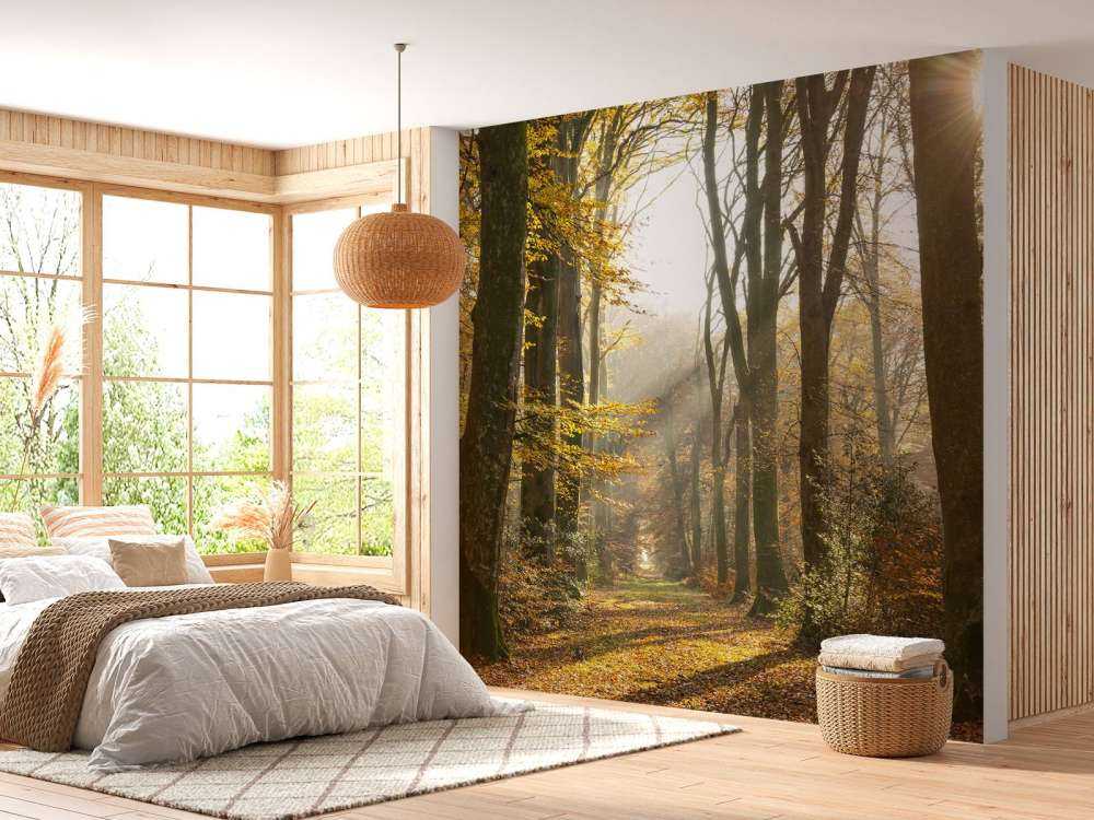 El bosque de Crécy