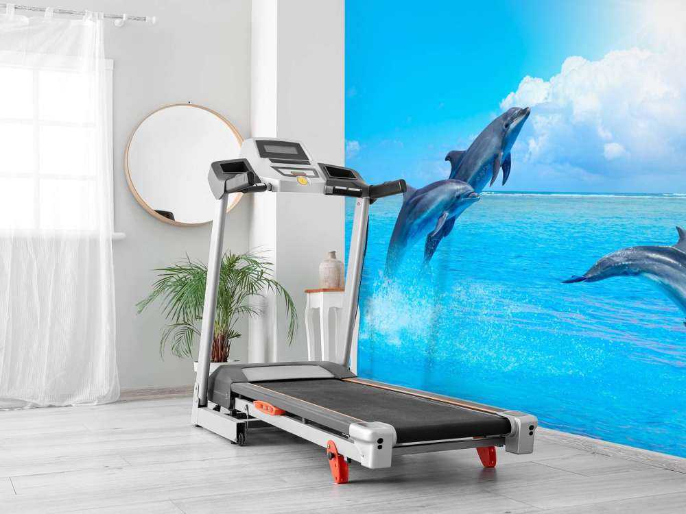 Delfines en el océano