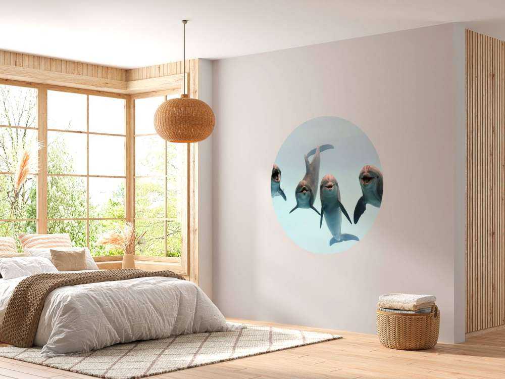 Delfines que ríen