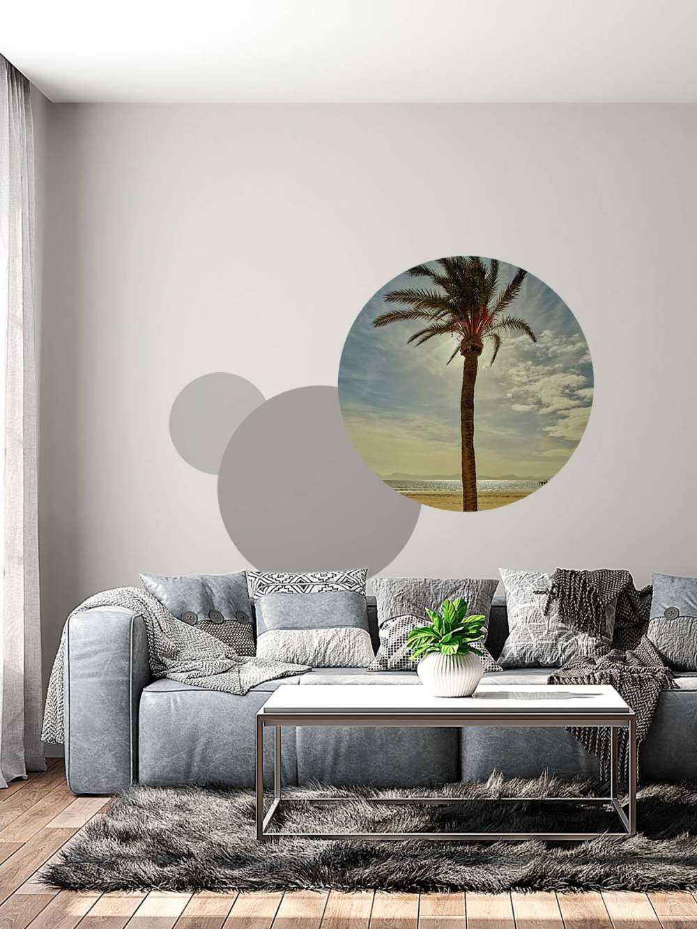 Palmera al sol