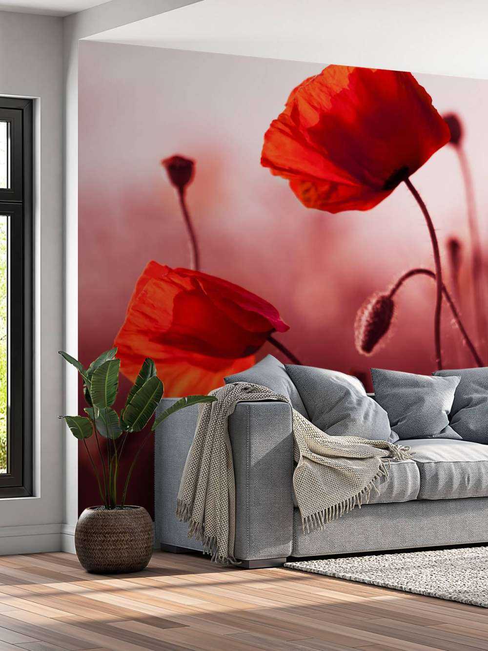 Amapolas en la pradera