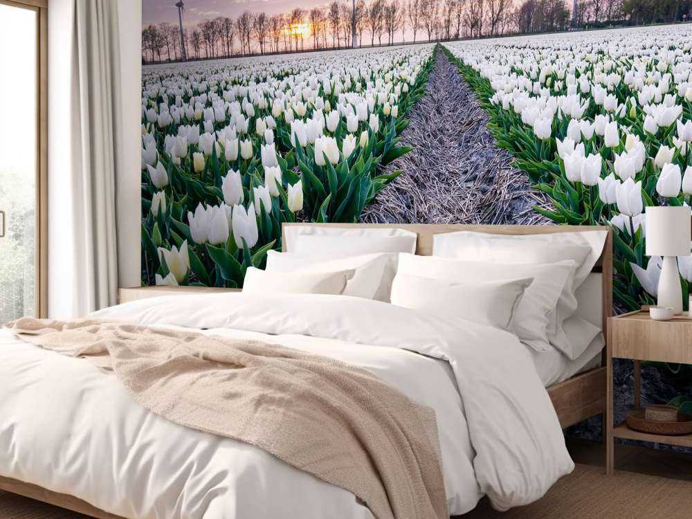 Tulipán blanco