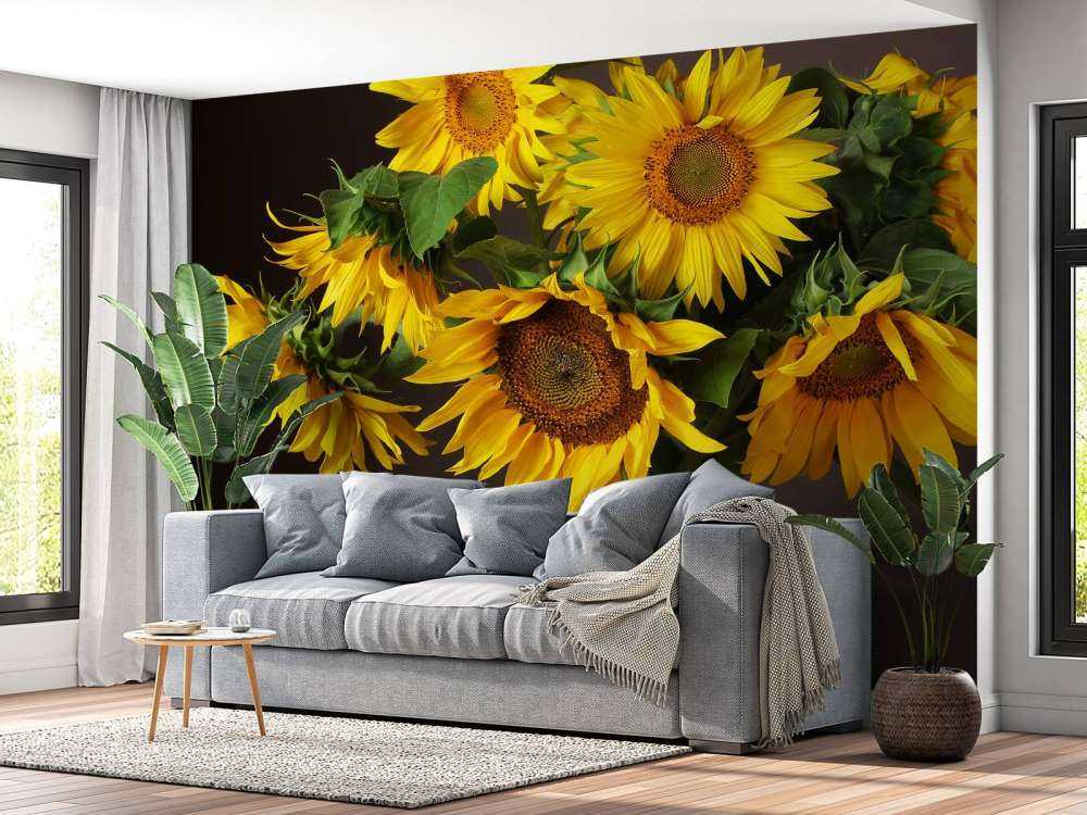 Girasoles y bayas