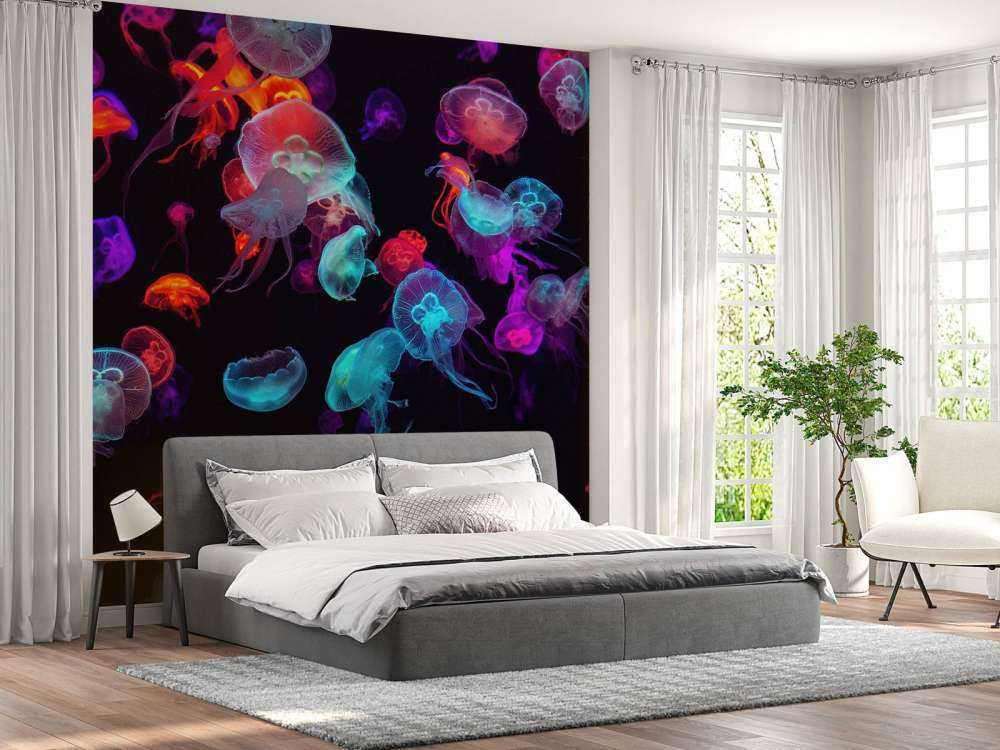 Medusas de colores