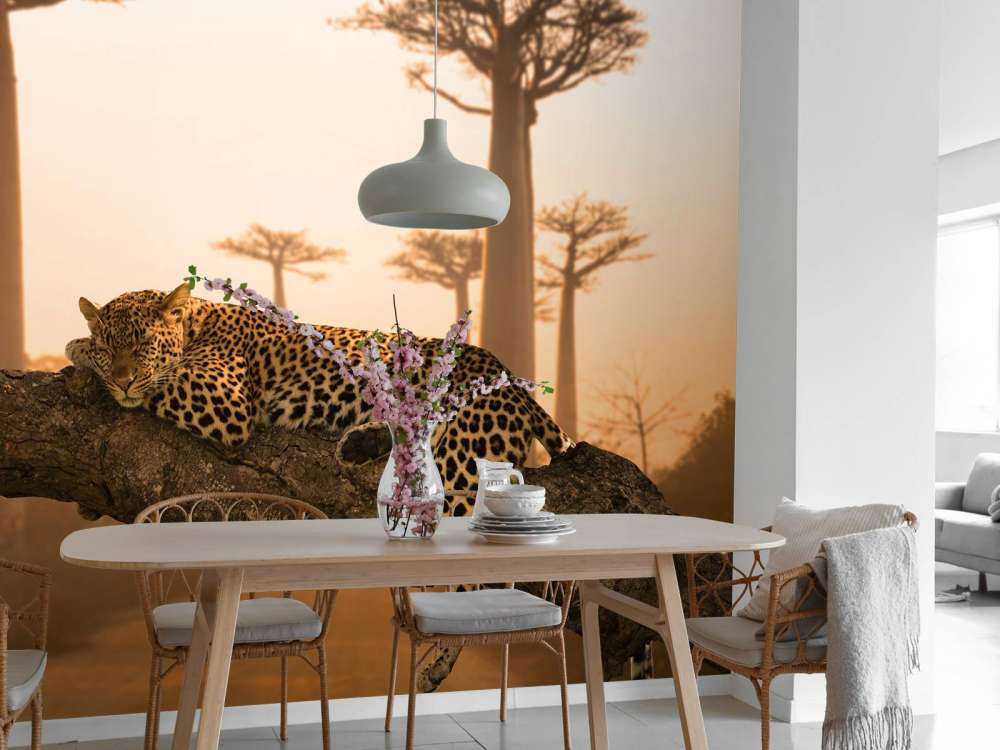 Leopardo dormido