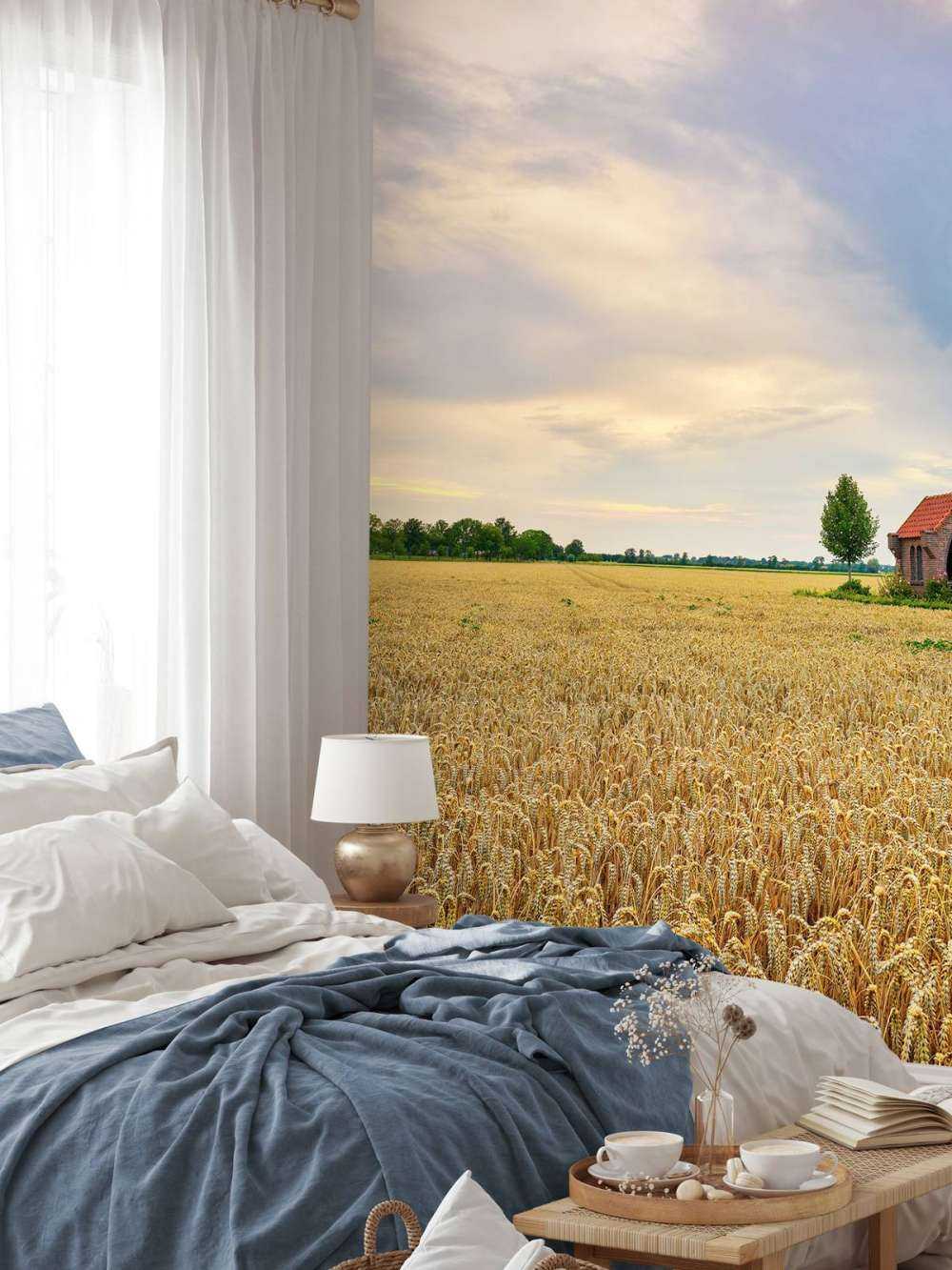 Campo de cereales