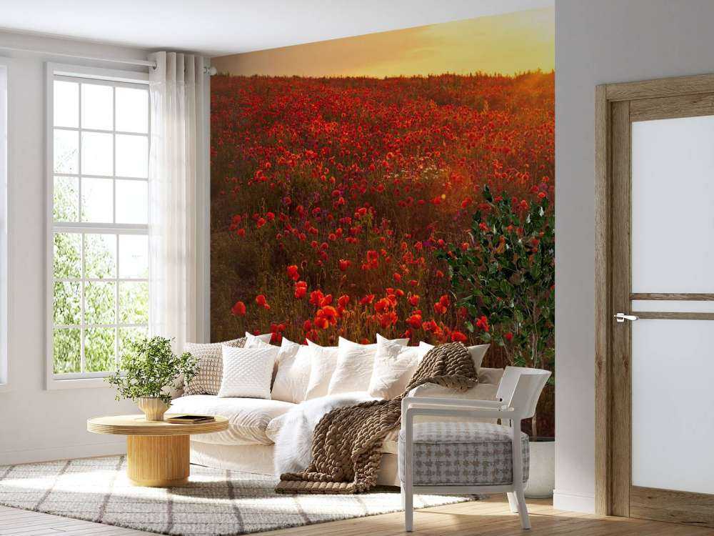 Amapolas en una colina