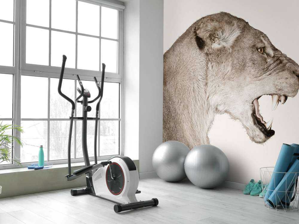 Vista lateral leona hueso